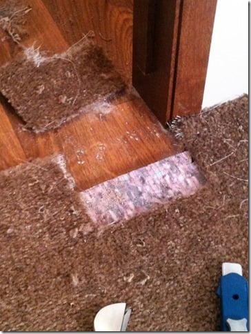 Photo of Totally Floored Carpet Cleaning