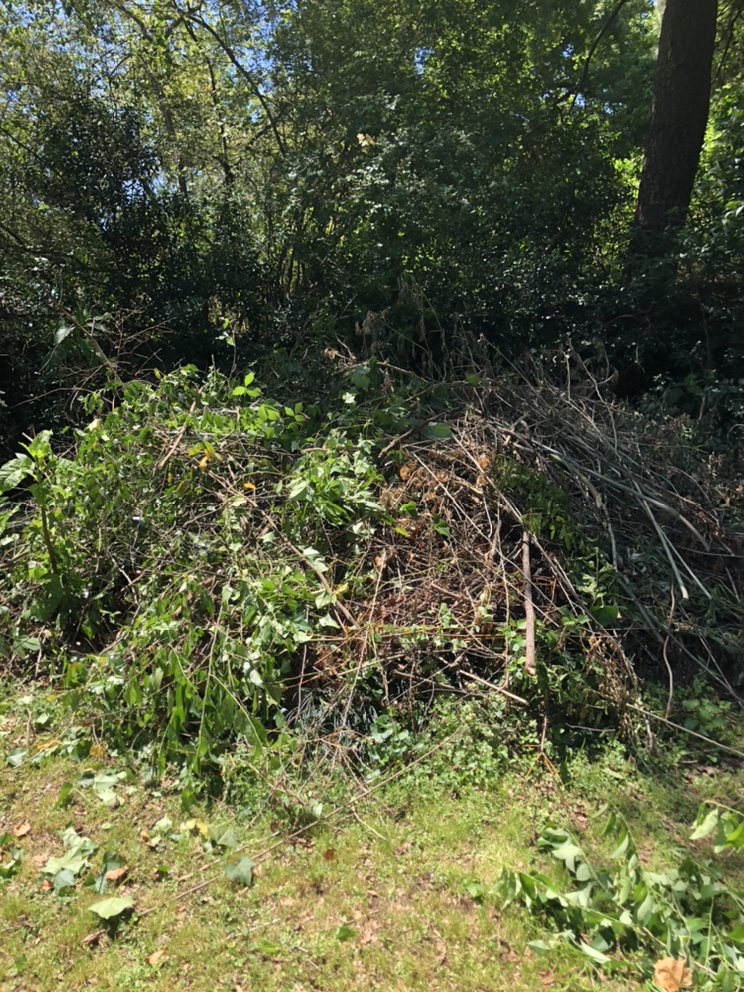 Photo of Trash It