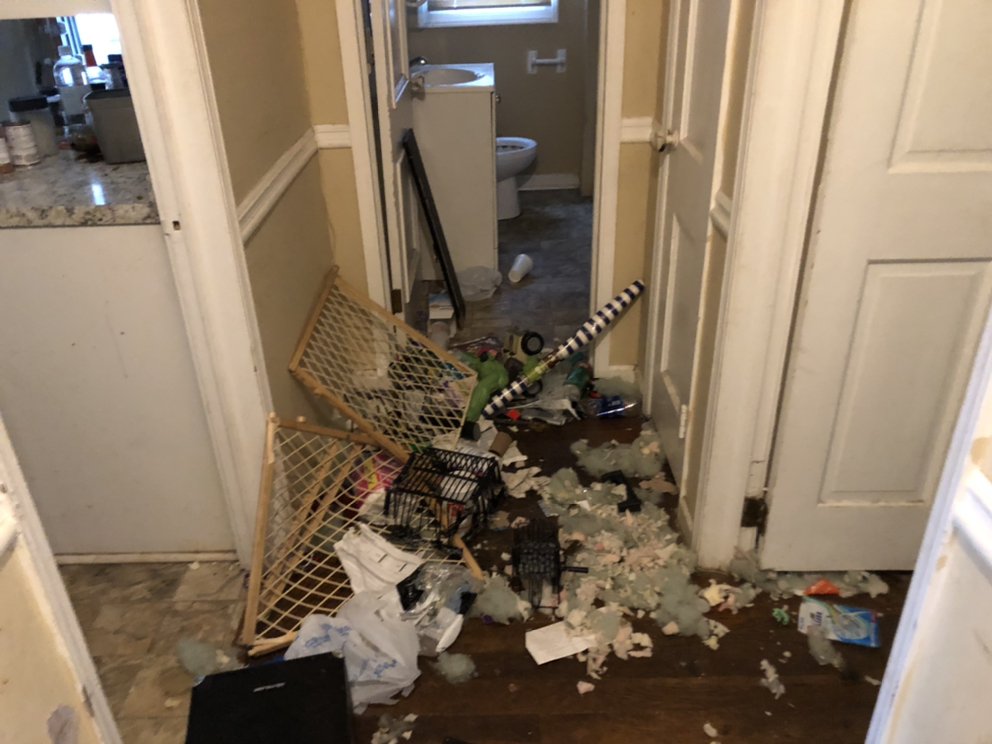Photo of Trash It