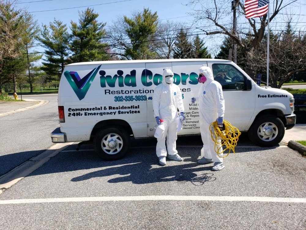 Photo of Vivid Colors Carpet Cleaning & Restoration