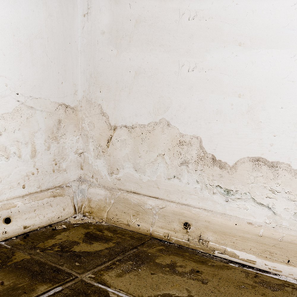 Photo of NewGen Remediation Specialists