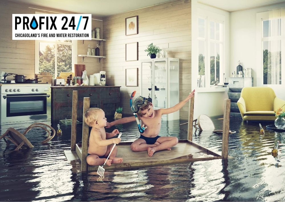 Photo of ProFix 24/7