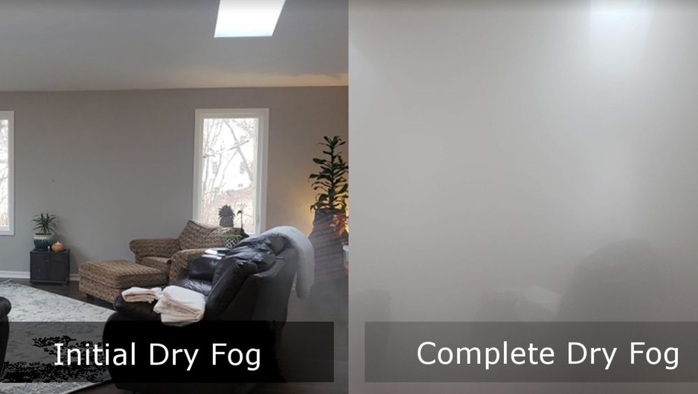 Photo of Mold Busters Denton