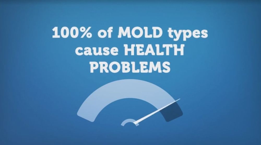 Photo of Mold Busters Denton