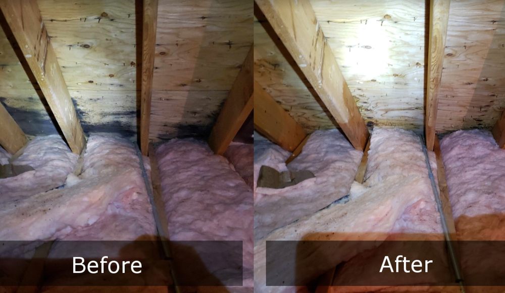 Photo of Mold Busters Denton