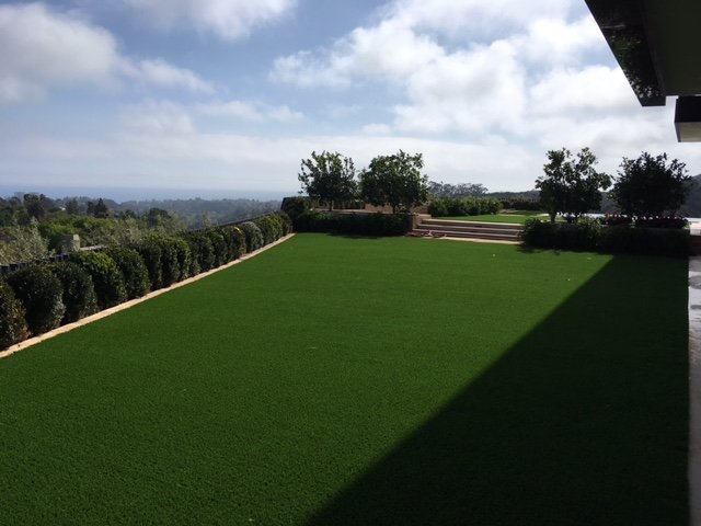 Photo of SmartGrass