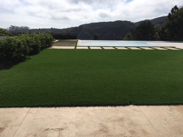 Photo of SmartGrass