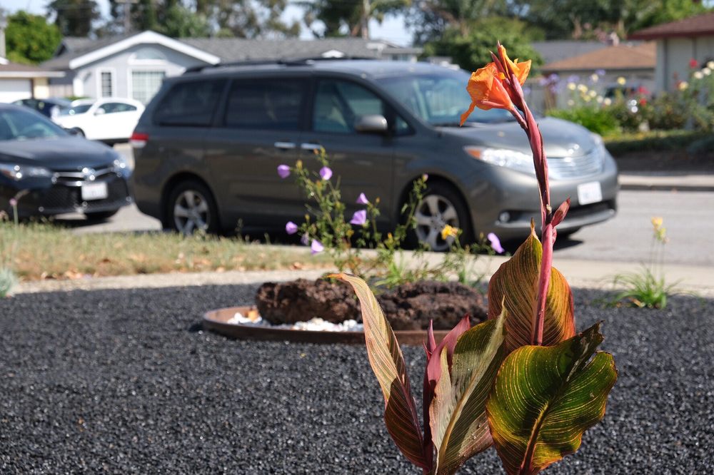 Photo of Jessie Landscaping & Maintenance