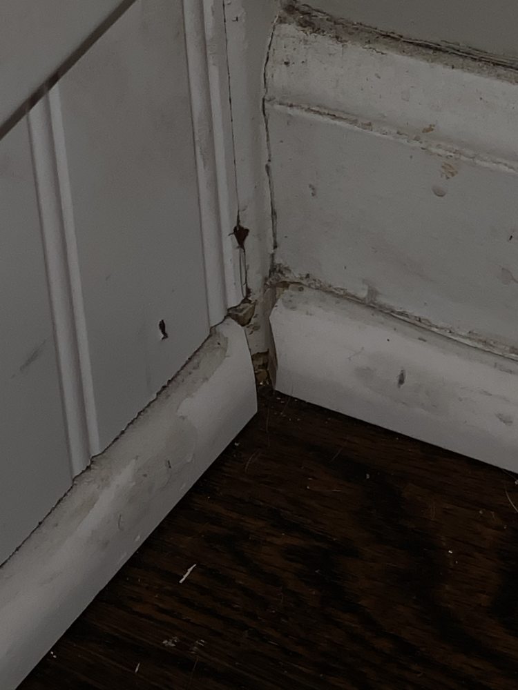 Photo of Good Ol' Boy Hardwood Floors