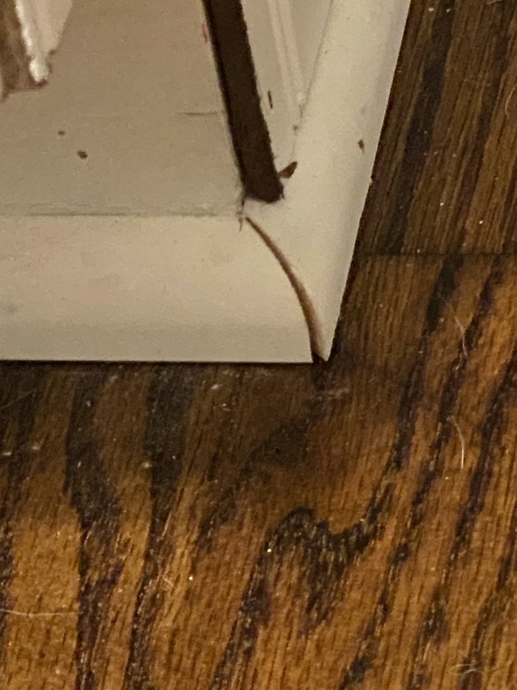 Photo of Good Ol' Boy Hardwood Floors
