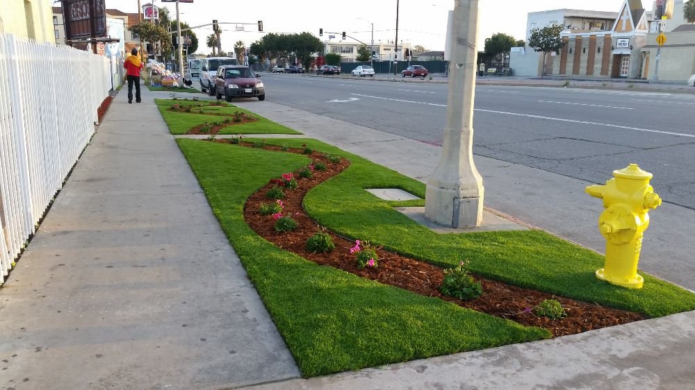Photo of Top Quality Turf
