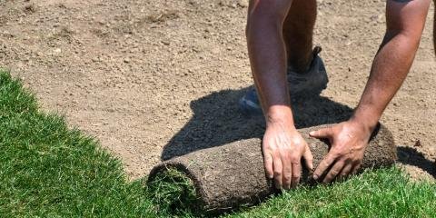 Photo of Arkansas Sod & Turf Farm