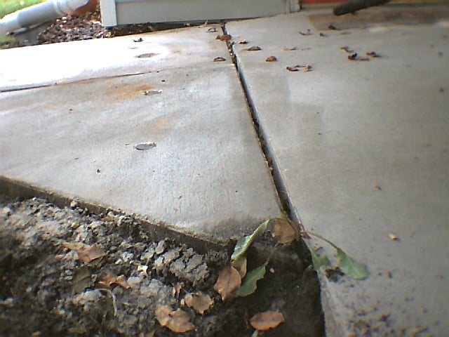 Photo of Solid Ground