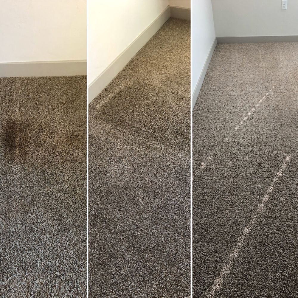 Photo of One Source Carpet Cleaning