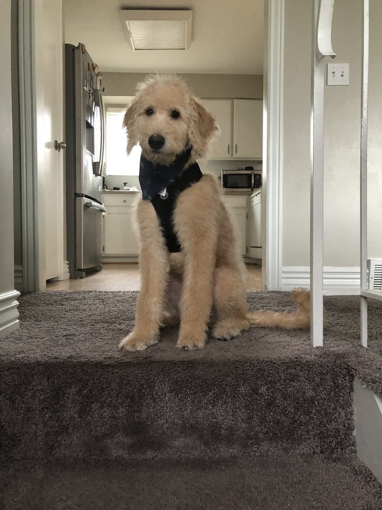 Photo of One Source Carpet Cleaning
