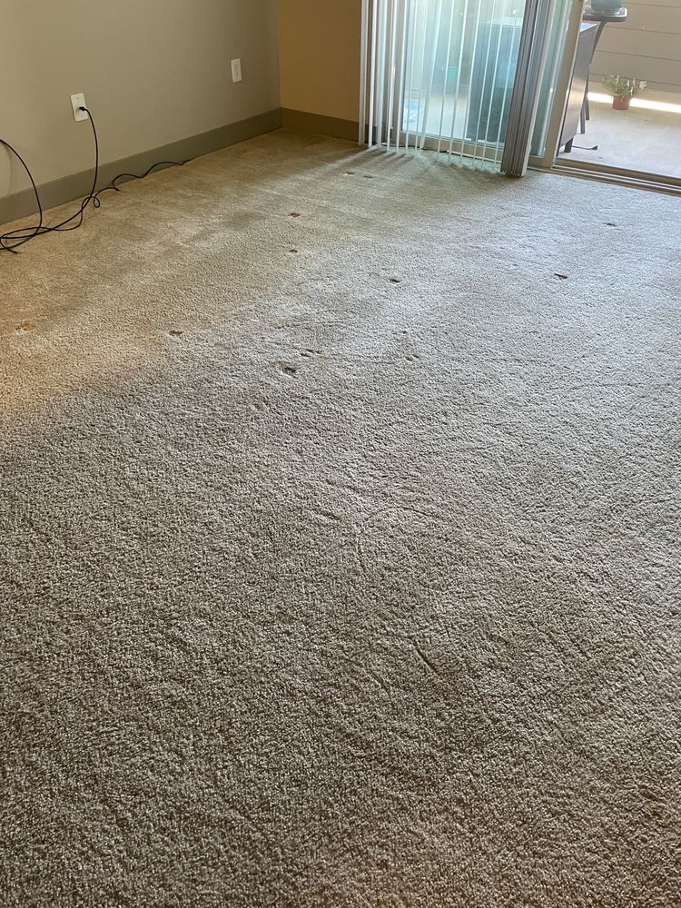 Photo of One Source Carpet Cleaning
