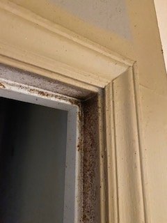 Photo of Southern Restoration & Construction