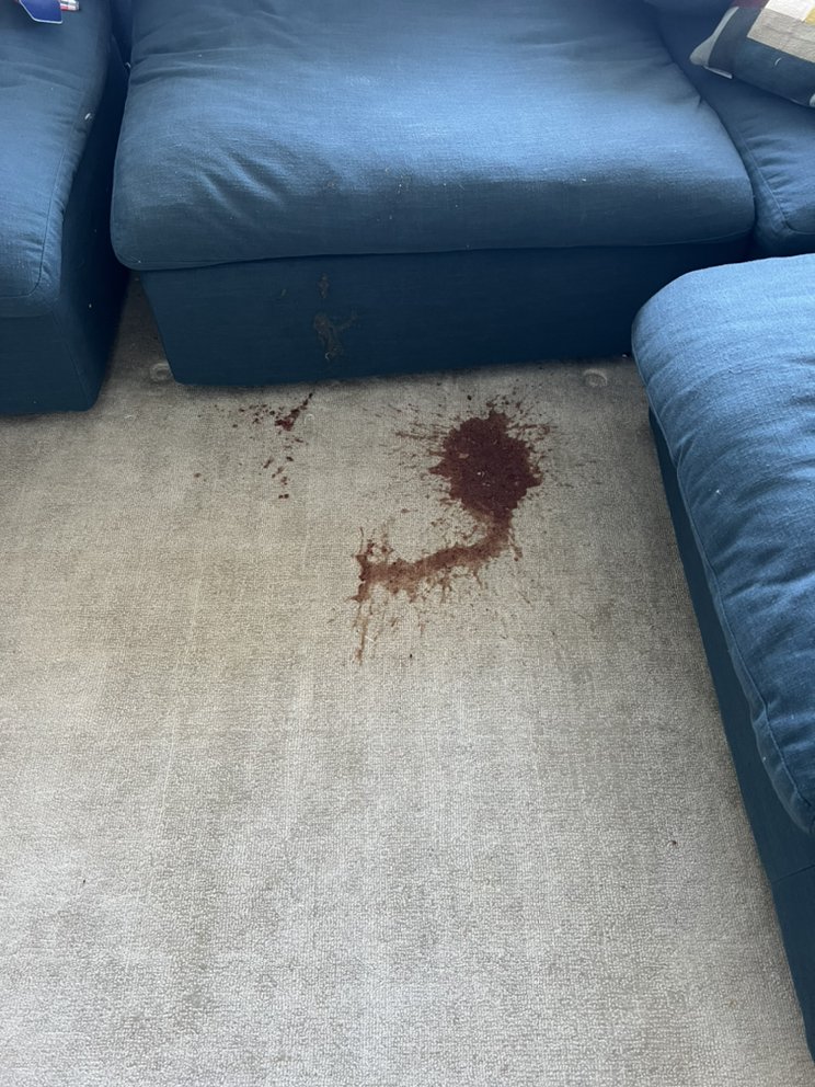 Photo of NYC Local Carpet