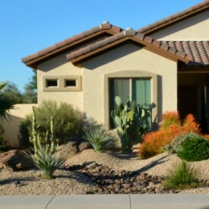 Chandler AZ NativeScapes