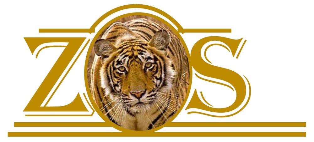 Photo of ZTigerS Consult