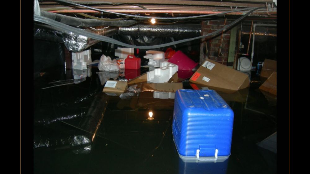 Photo of 4 Dry Out