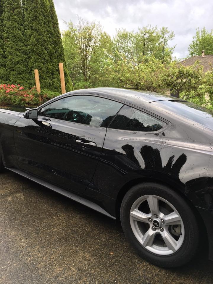 Photo of 5 Star Window Tinting
