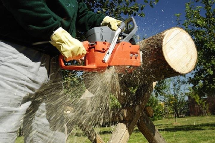 Photo of Giffin Tree Service