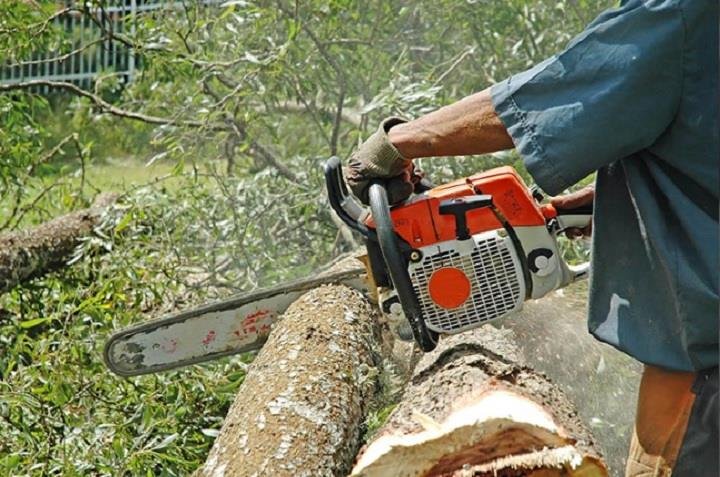 Photo of Giffin Tree Service