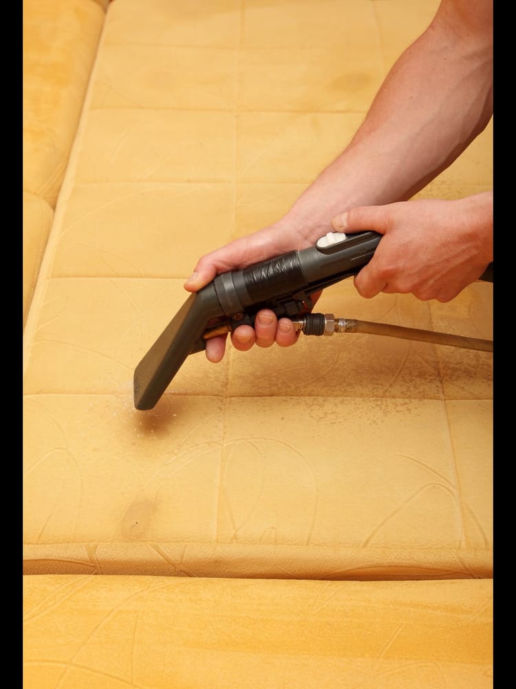 Photo of TLC Domestic Services Ltd