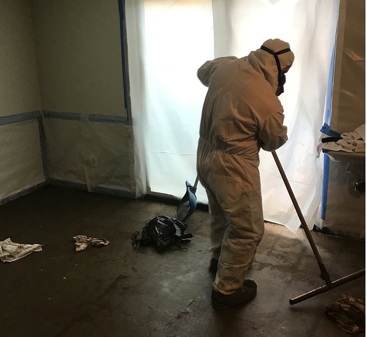 Photo of Bay View Restoration