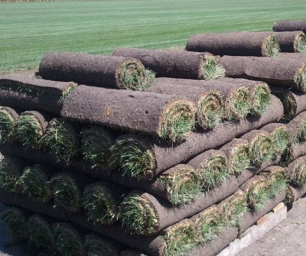 Photo of Shattuck Turf Farms