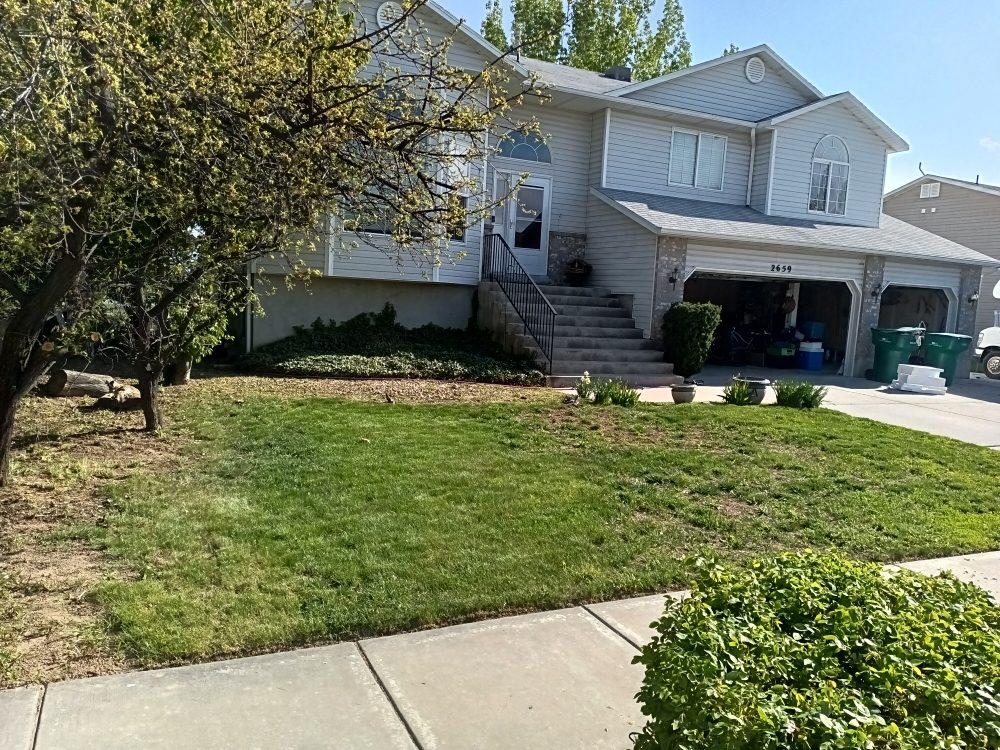 Photo of Greenes Cleaning and Handyman