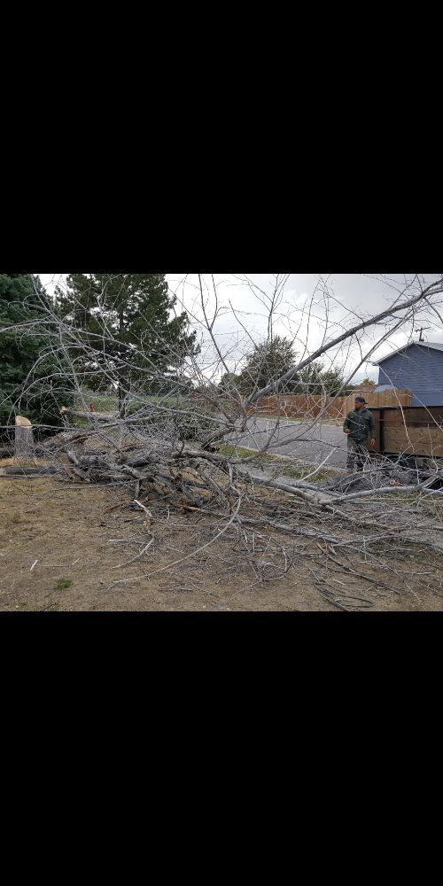 Photo of J & K Fencing And Landscaping