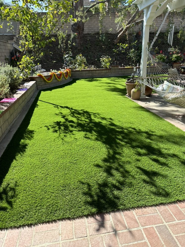 Photo of Clear View Tree Services