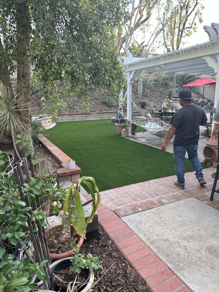Photo of Clear View Tree Services