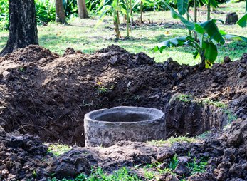 Photo of Clear Horizons Soil