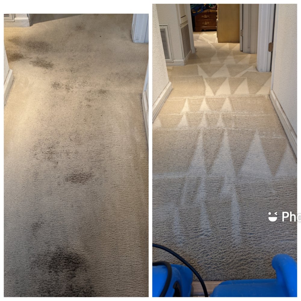 Photo of Accents In Cleaning