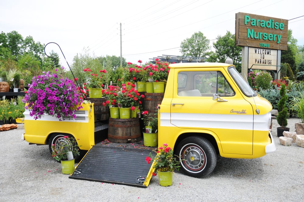 Photo of Paradise Landscape & Nursery