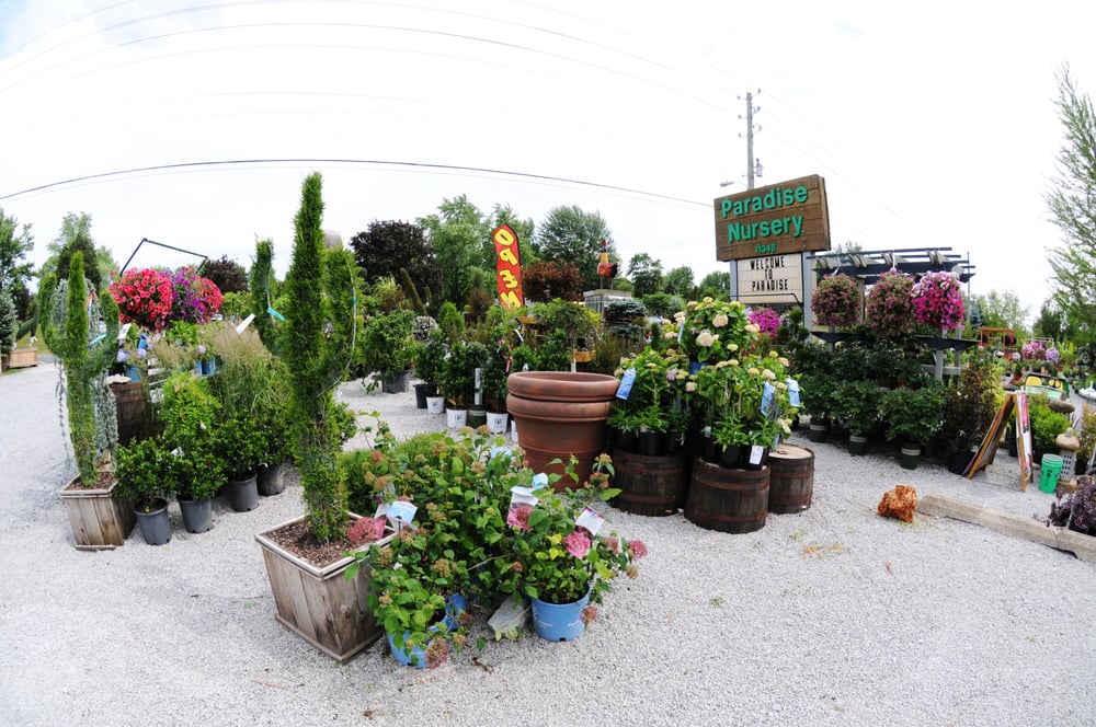 Photo of Paradise Landscape & Nursery