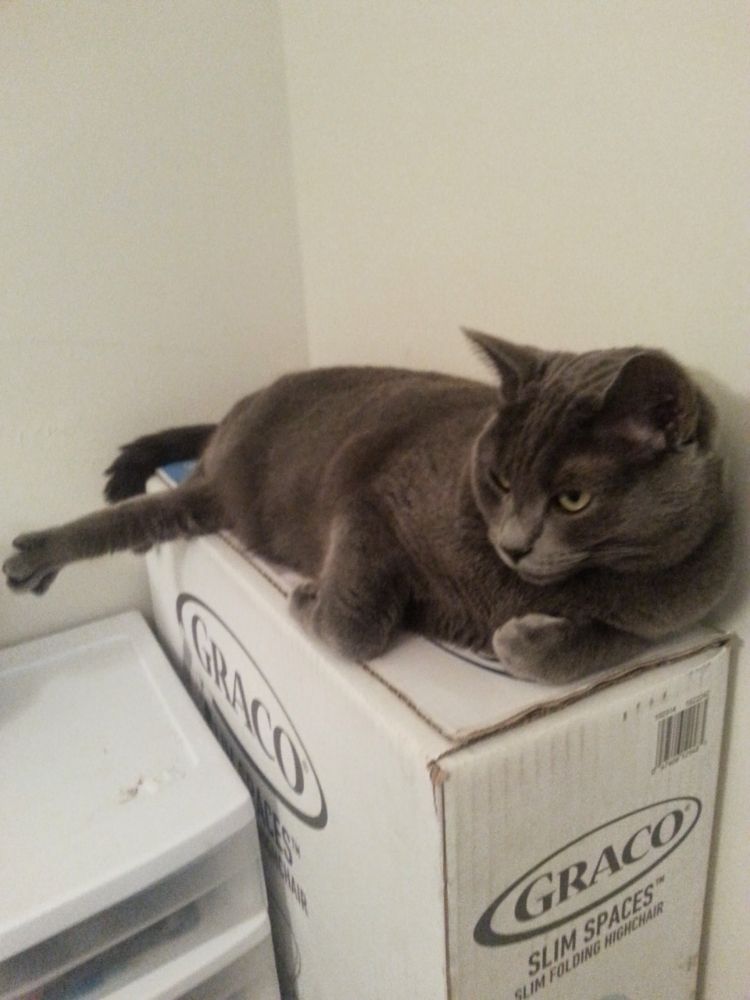 Photo of Top Kat Handyman Services