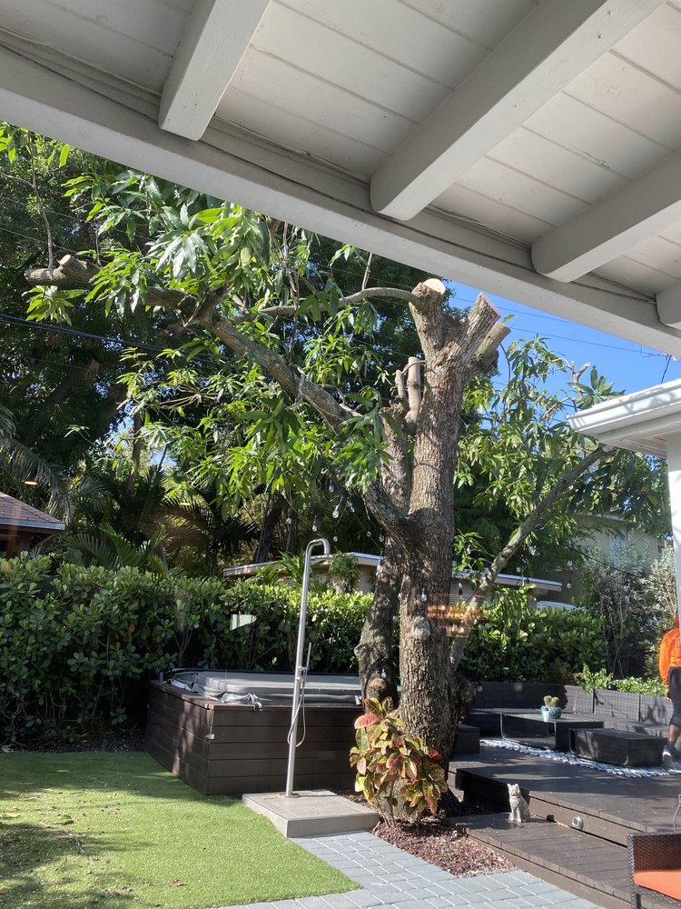Photo of Sunshine Tree Trimming