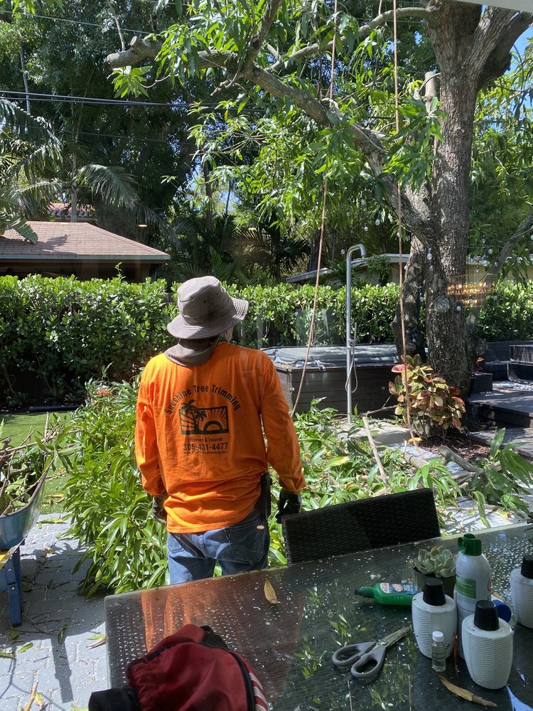 Photo of Sunshine Tree Trimming