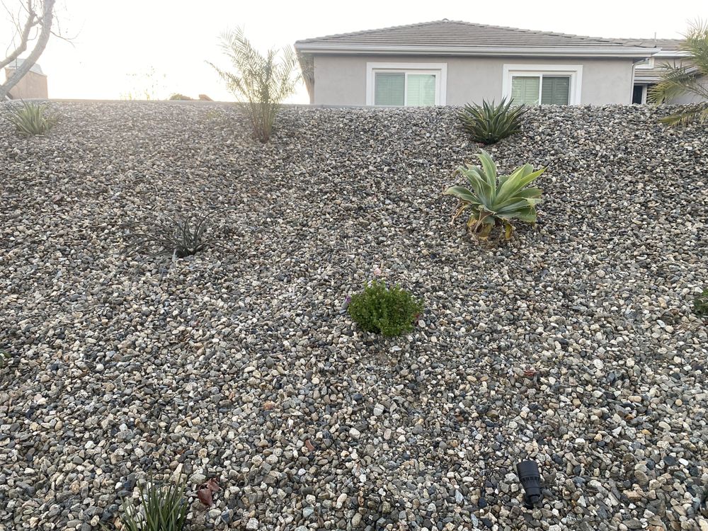 Photo of Green Leaf Landscaping and Maintenance