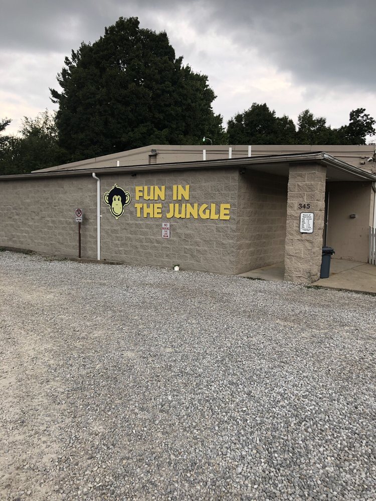 Photo of Fun in the Jungle