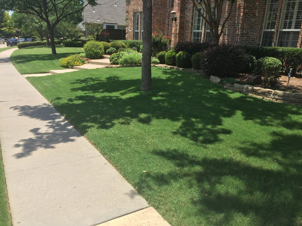 Photo of Perfect Green Landscapes