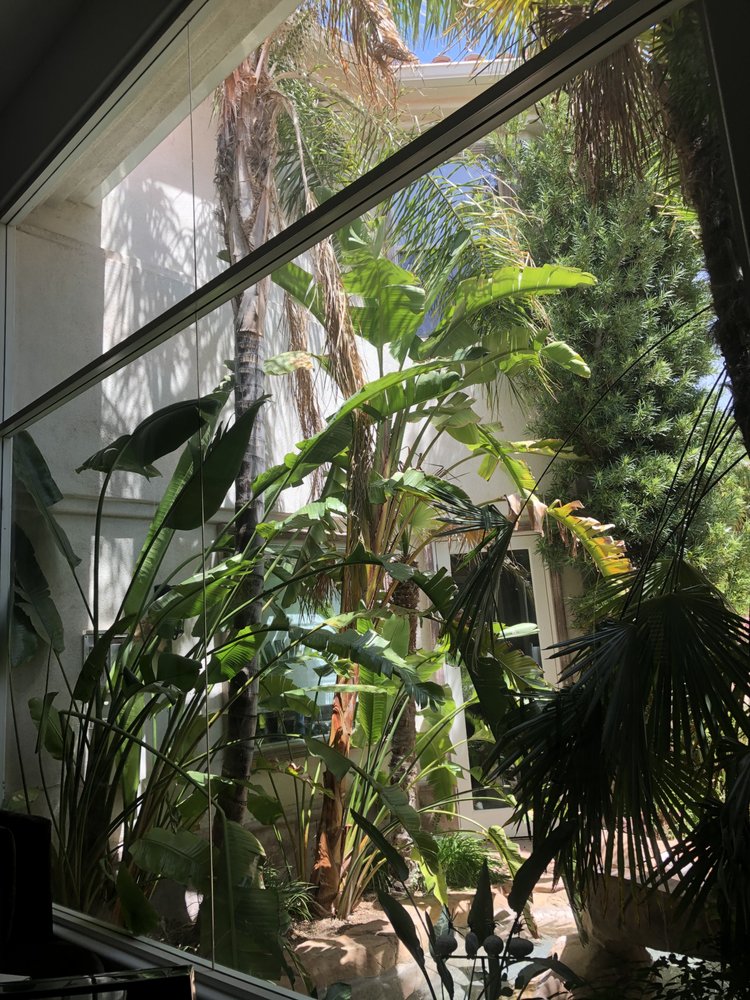 Photo of Window Masters
