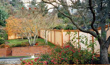 Photo of JD's Landscape Service And Design