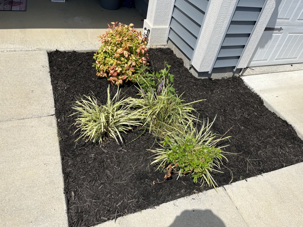 Photo of Oz Lawn Care