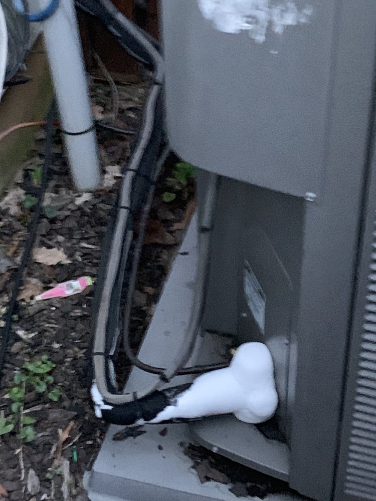 Photo of Connor Air Repair Express Services