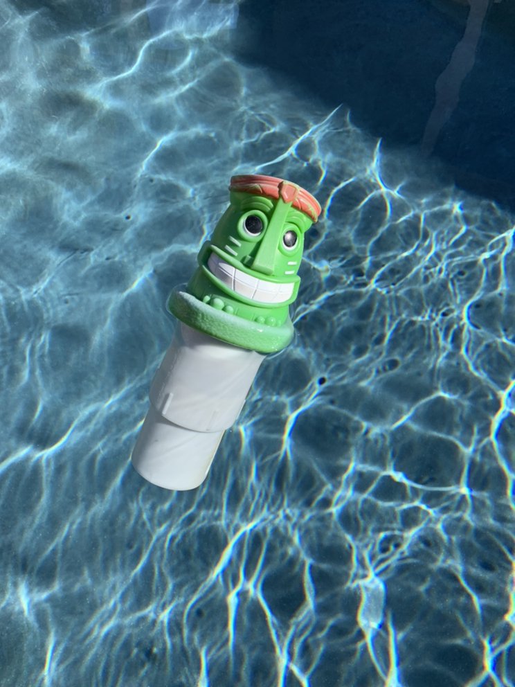 Photo of Dude Bro the Pool Pro